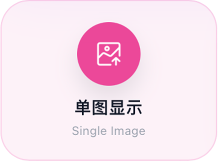 单图显示